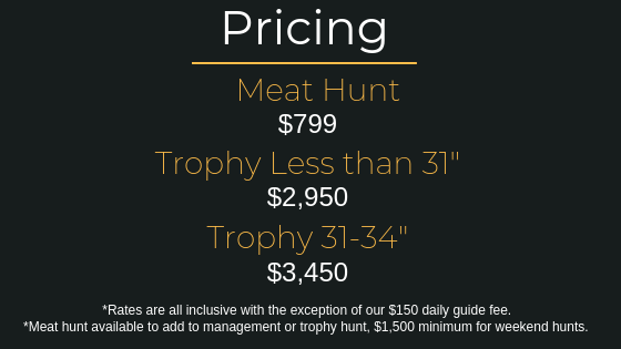 3 3